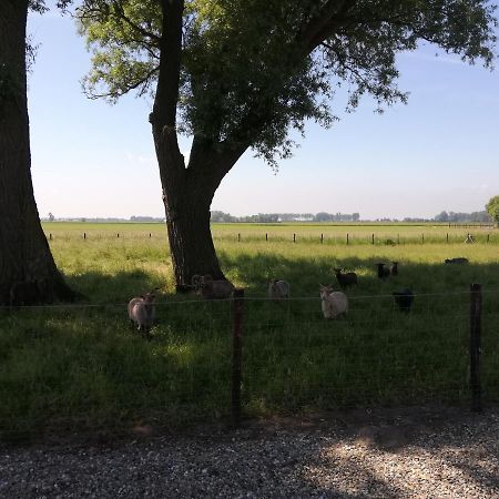 Bed and Breakfast Het Zeeuws Verblijf Terneuzen Exteriér fotografie